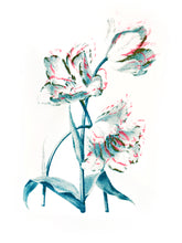 Load image into Gallery viewer, botanic plants vintage illustration 1800s screenprinting siebdruck handdruck tulip tulipe flower