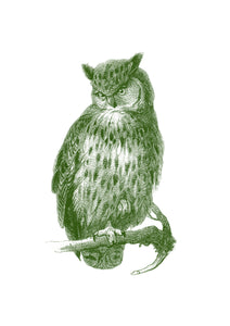 Eagle-Owl Print