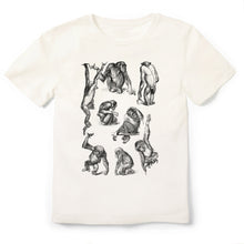 Load image into Gallery viewer, Chimps&#39;study Tshirt